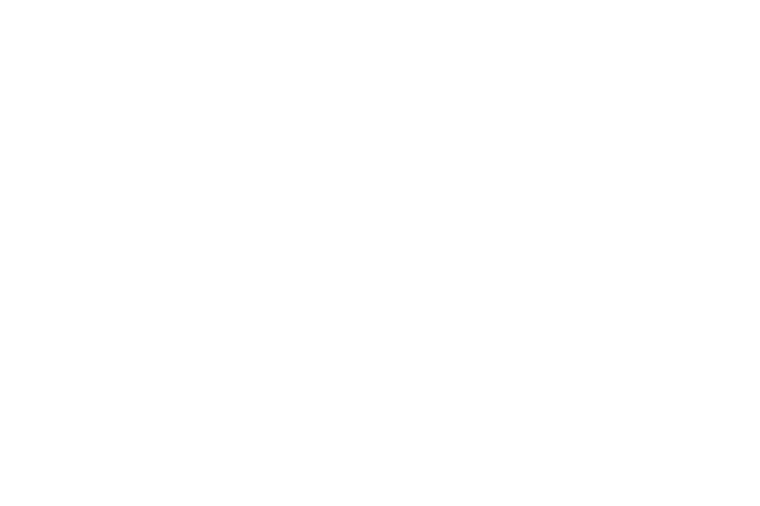 Jet Island Tours